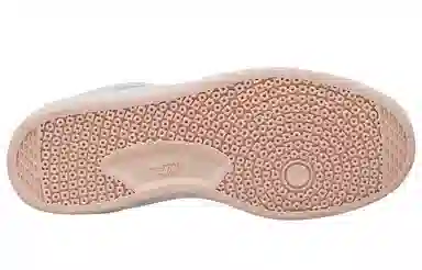 Nike SB Alleyoop Low