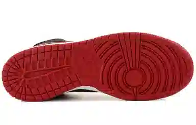 Nike Dunk SB Premium SB RESN 2009