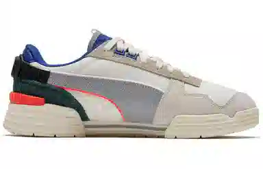 PUMA Cgr Ader Error