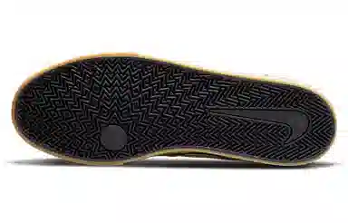 Nike SB Chron 2 CNVS