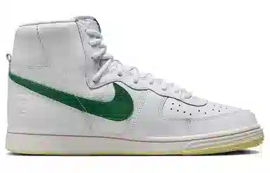 Nike Terminator High White Green