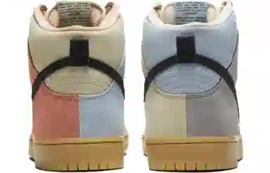 Nike Dunk SB Pro Spectrum