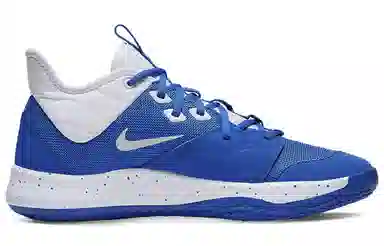 Nike PG 3 Team Low