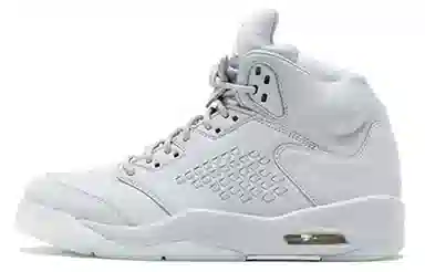 Jordan Air Jordan 5 Retro Pure Platinum
