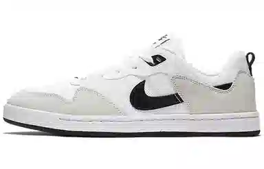 Nike SB Alleyoop White