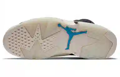 Jordan Air Jordan 6 Retro "Tech Chrome"