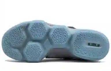 Nike Lebron 14 MAG