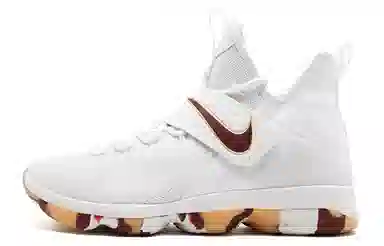 Nike Lebron 14 Wine