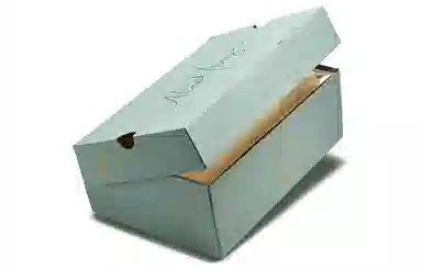 Aleali May x Air Jordan 14 Low SP "Fortune"