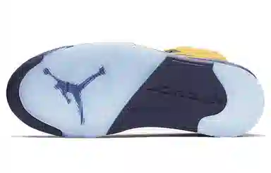 Jordan Air Jordan 5 SP Michigan