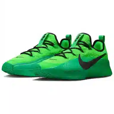 Nike LeBron TR 1 Green