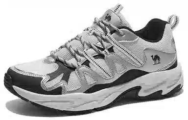 CAMEL Hiking Shoes