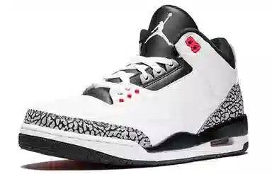 Jordan Air Jordan 3 Retro Infrared 23