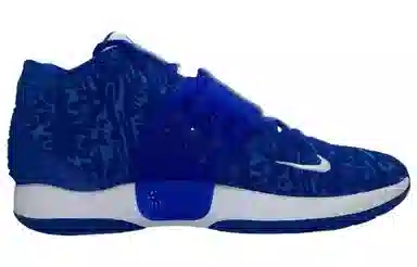 Nike KD 14 TB "Game Royal" 14