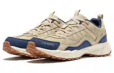 CAMEL 1.0