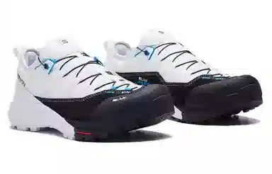 Salomon S/LAB ALPINWAY White