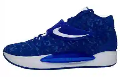 Nike KD 14 TB "Game Royal" 14