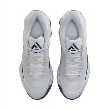 Nike Giannis Immortality 4 Grey