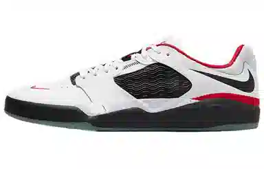 Nike SB Ishod "Chicago"