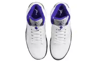 Jordan Air Jordan 5 Retro "Concord"