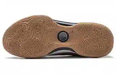 LiNing EVOLUTION LOW