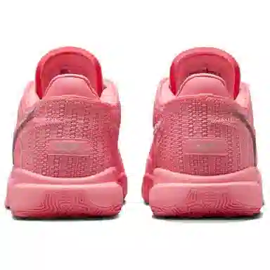 Nike LeBron 20 EP Pink