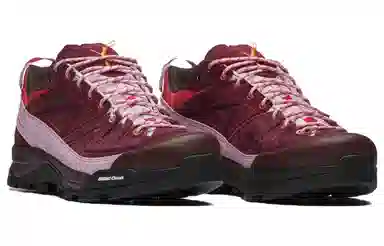 Salomon X-Alpages GTX