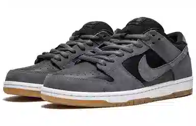 Nike Dunk SB Dark Grey