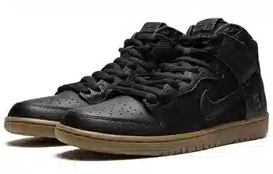 Nike Dunk SB Zoom Pro "Antihero"