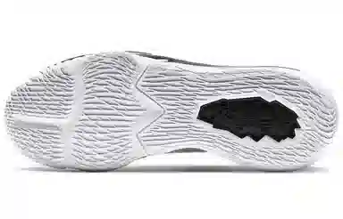 Nike Lebron 17 Low EP