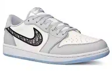 Dior x Air Jordan 1 Low White Grey