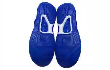 Nike KD 14 TB "Game Royal" 14