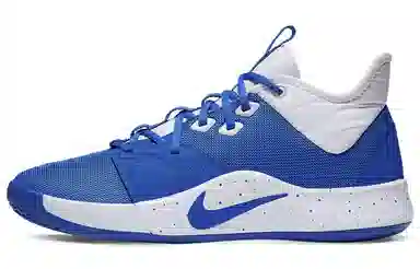 Nike PG 3 Team Low