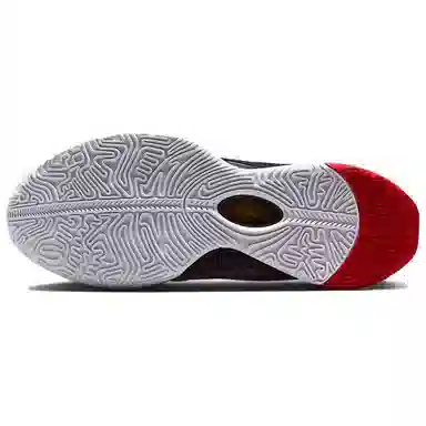 Nike Lebron 21 Prime 93 EP Black