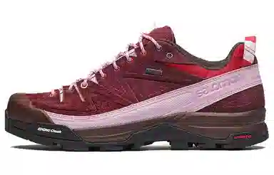 Salomon X-Alpages GTX