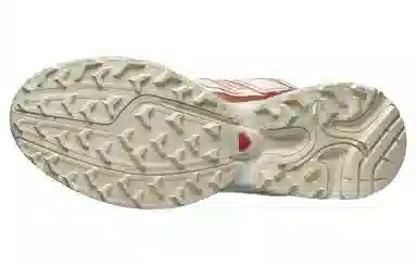 Salomon XT-Pathway White Gold