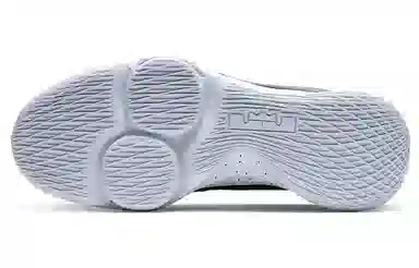 Nike Witness 5 Lebron