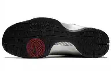 Nike Zoom Kobe 5 Low Grey