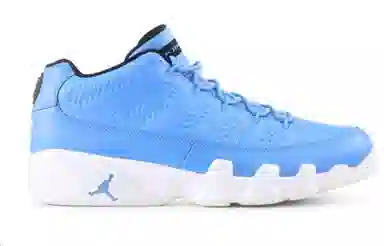 Jordan Air Jordan 9 Retro Low Pantone