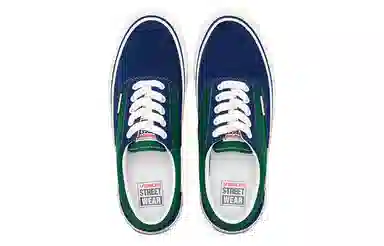 Vision Street Wear Trainers Plus