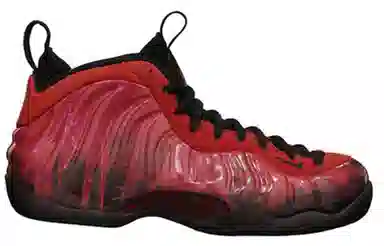 Nike Foamposite One Doernbecher