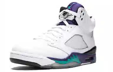 Jordan Air Jordan 5 Retro Grape