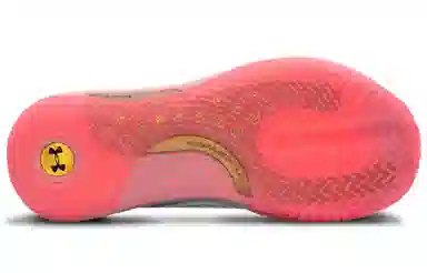 Under Armour Hovr Havoc 2