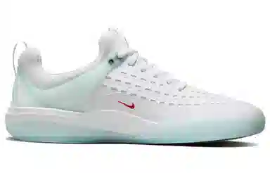 Nike SB Nyjah 3 White Blue