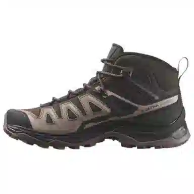 Salomon X Ultra Pioneer 2 MID GTX Brown