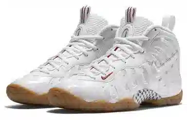 Nike Foamposite Pro Air White Gucci