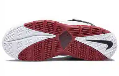 Nike Lebron 3 QS Home