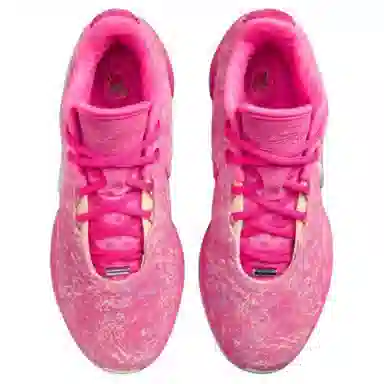 Nike Lebron 21 "Multicolor/Metallic Silver"