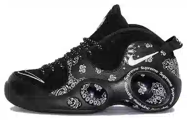 Supreme x Nike Zoom Flight 95