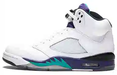 Jordan Air Jordan 5 Retro Grape